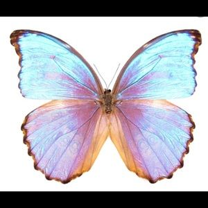 Meet your Posher, Kaila